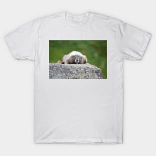 Marmot resting on a rock in Mount Rainier National Park T-Shirt